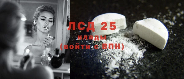 ПСИЛОЦИБИНОВЫЕ ГРИБЫ Медвежьегорск