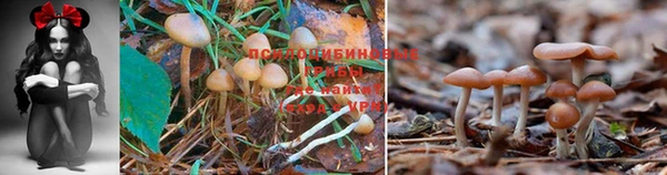 mix Волоколамск