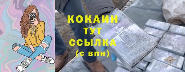гидра Медногорск