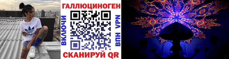 купить наркоту  Приморск  Псилоцибиновые грибы мицелий 